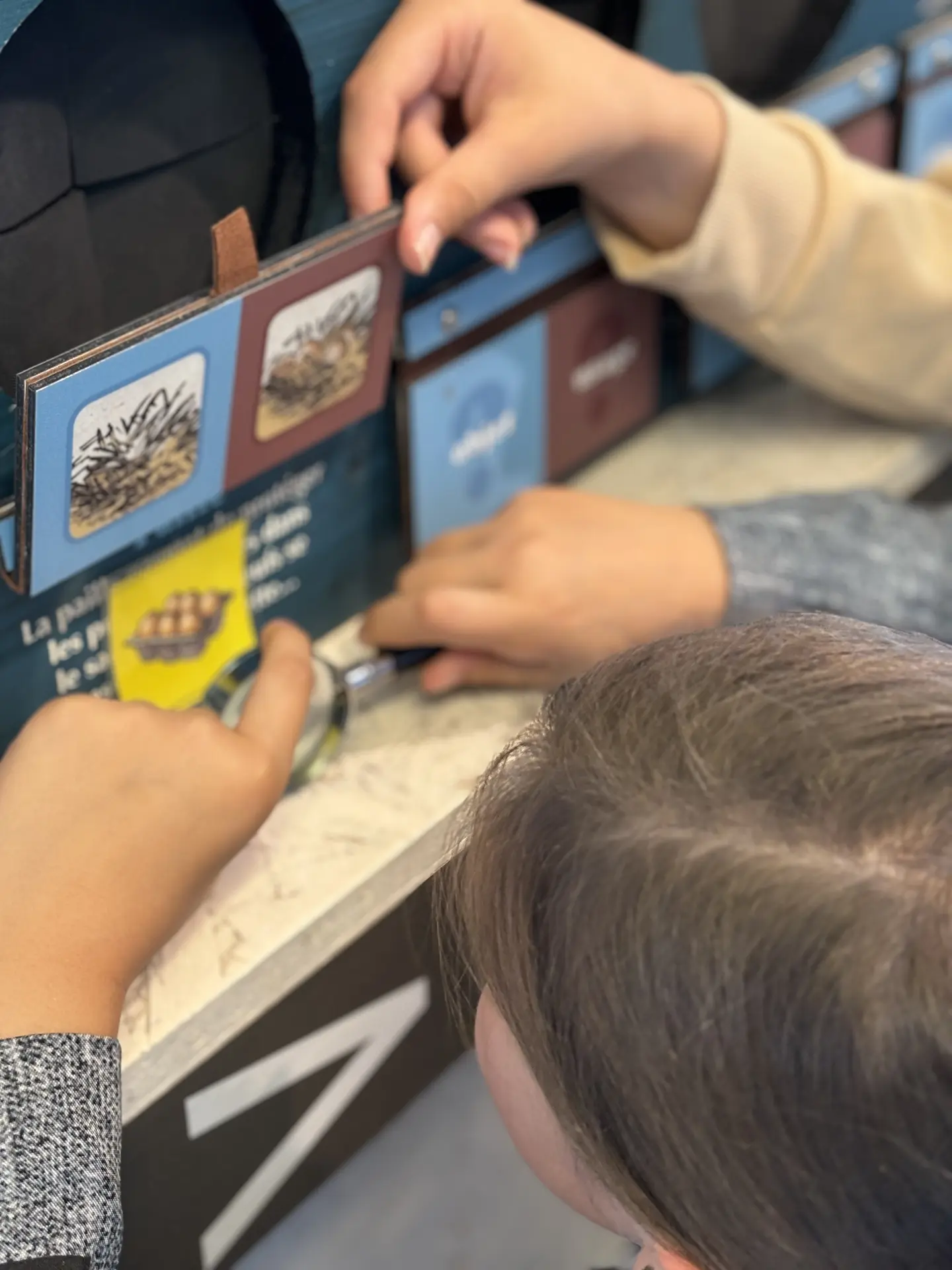 Opérations secrètes à La Vieille Douane