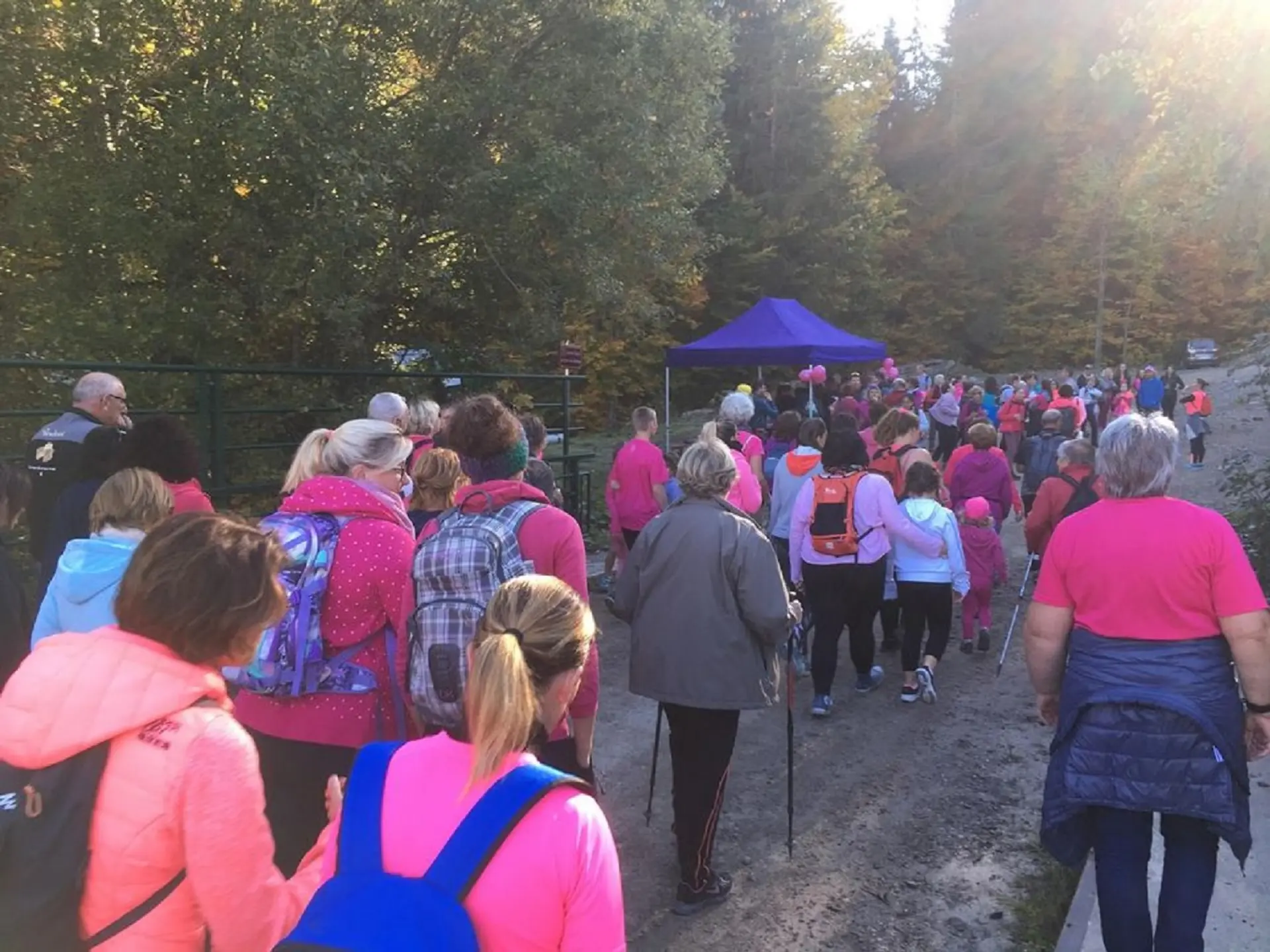 Départ de la marche rose au profit de la ligue contre le cancer du sein