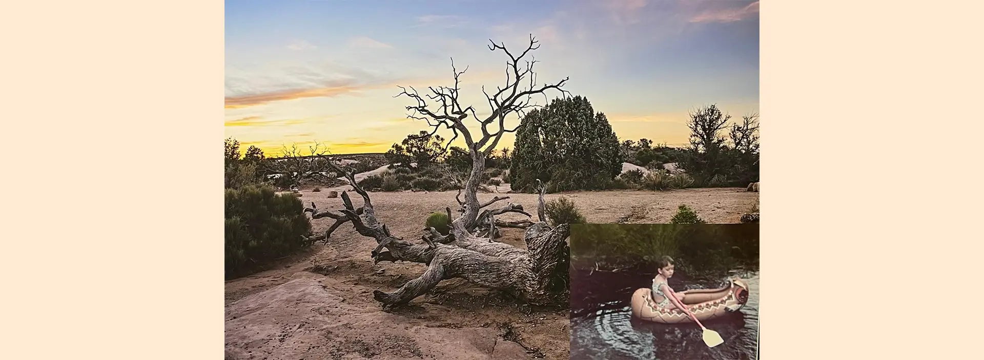 Exposition Cécile Menendez au Domaine de Lagoy_Saint-Rémy-de-Provence