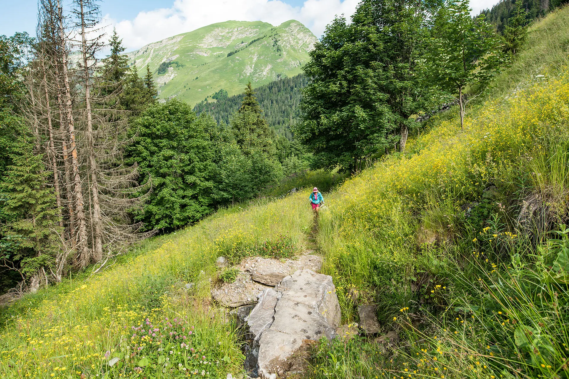 Juste avant l'arrivée aux Lindarets