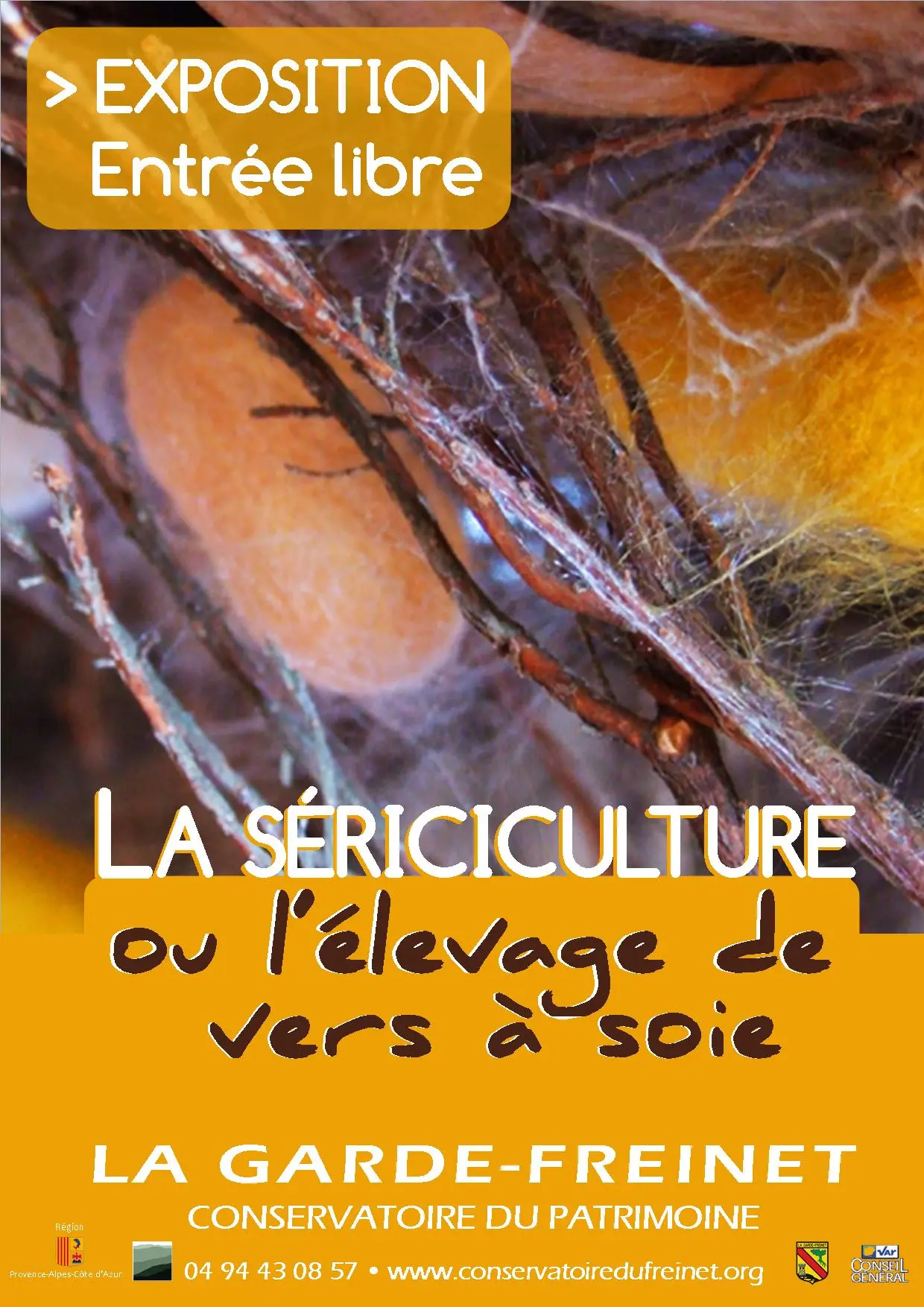 La Sériciculture ou l'élevage de vers à soie