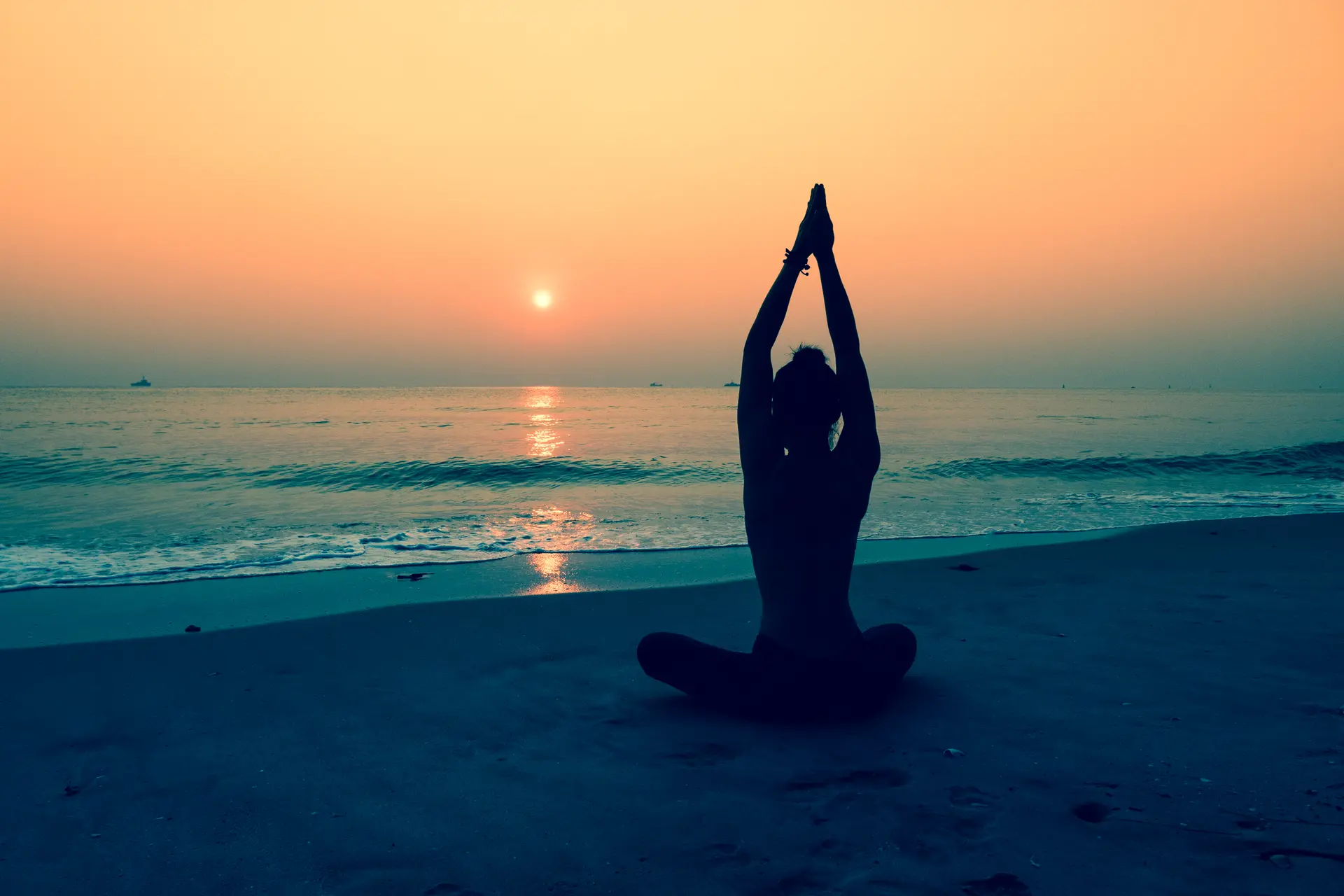 Summer Yoga Day à La Londe les Maures