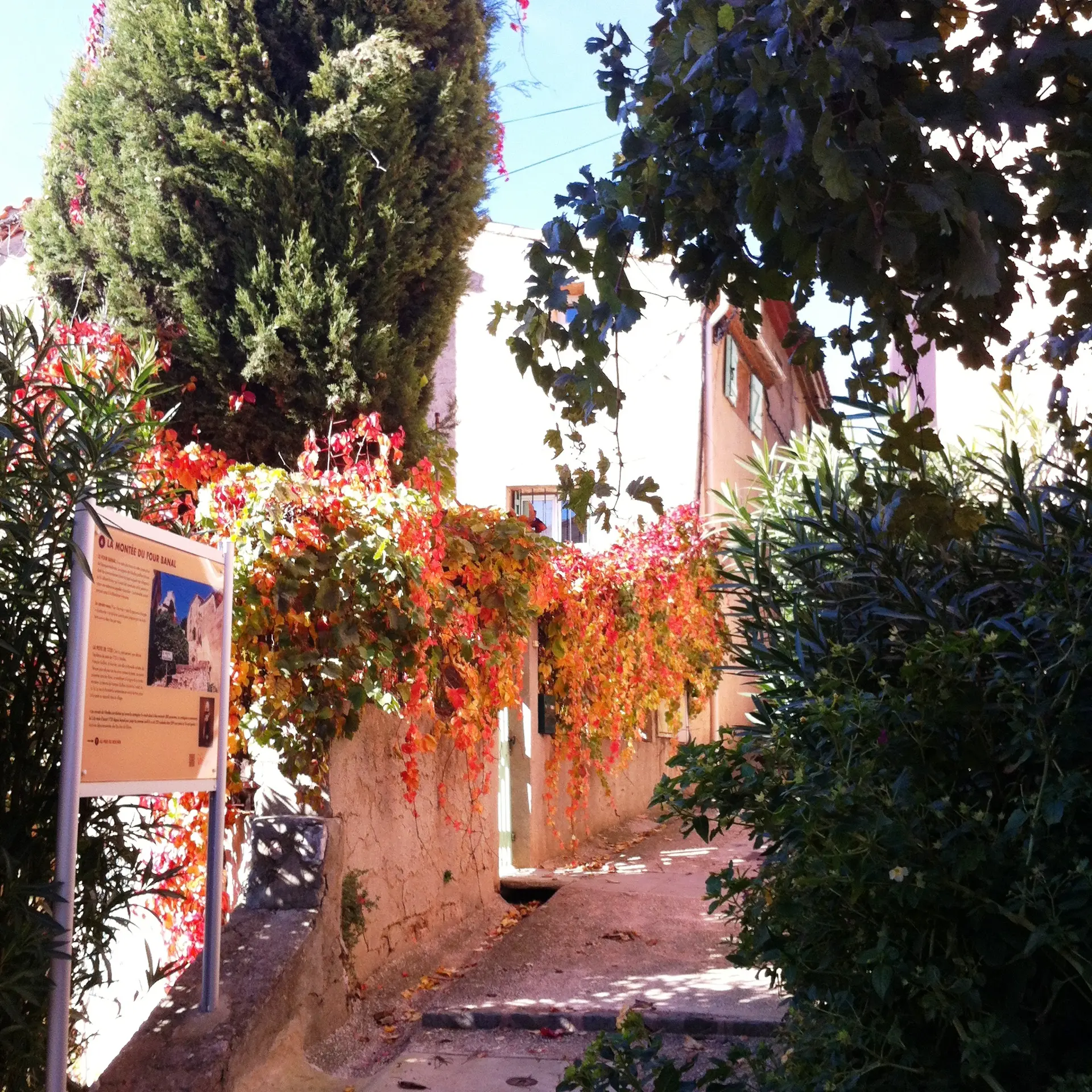 Dans les ruelles du Vieux Village