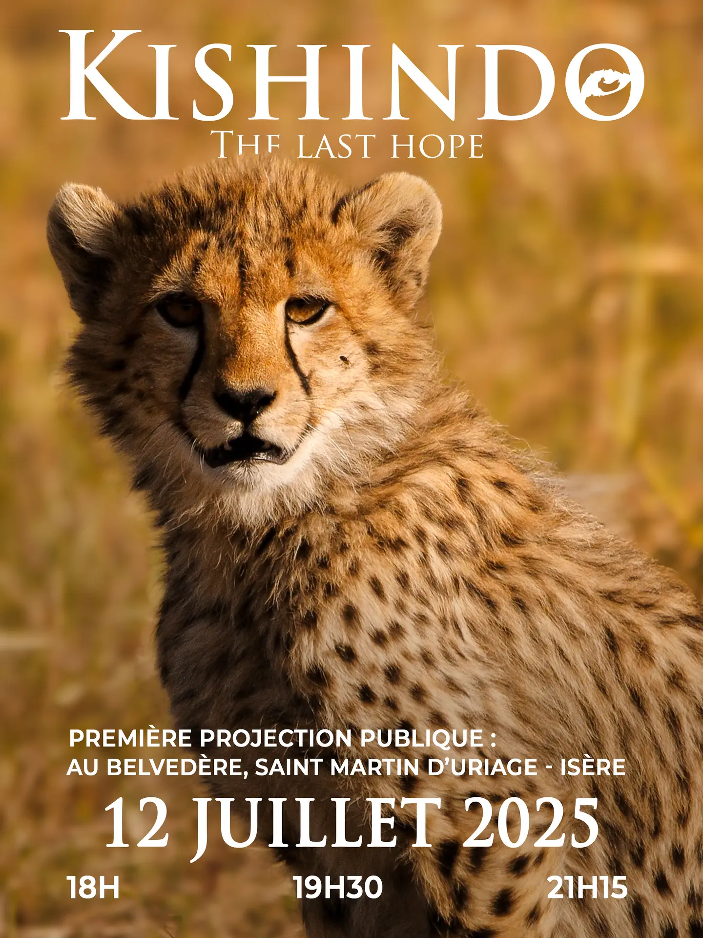 Affiche du documentaire Kishindo