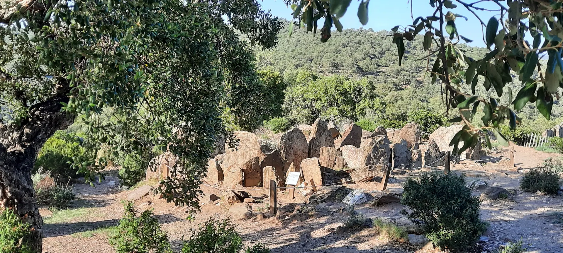 Visite guidée Méditerranée Porte des Maures
