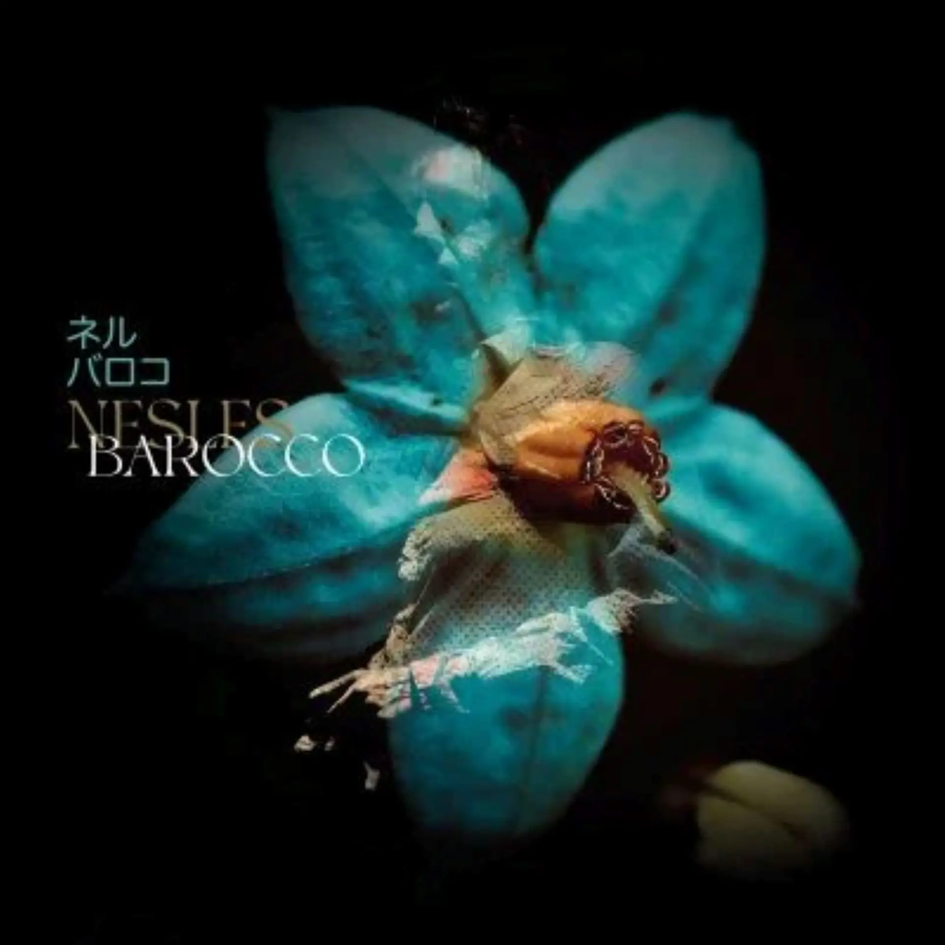 Nesles en concert_Hyères