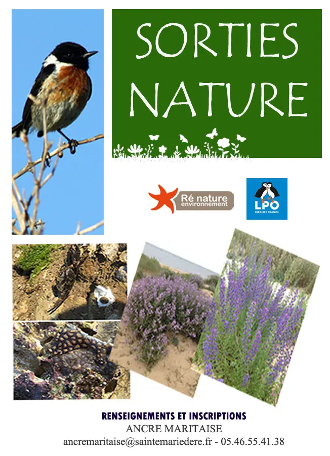 SORTIE NATURE
