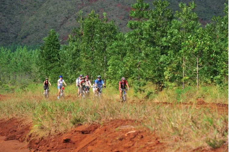 Heureux sont les nombreux cyclistes ayant emprunter la piste 3 à partir du Creek Pernod