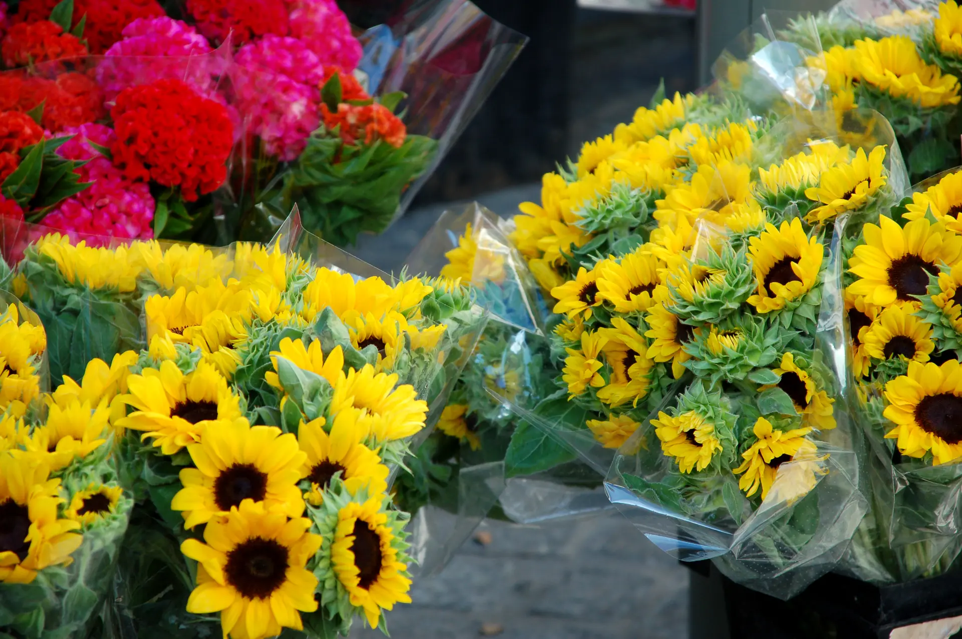 Marché de la Crau / Mercredi et dimanche matin