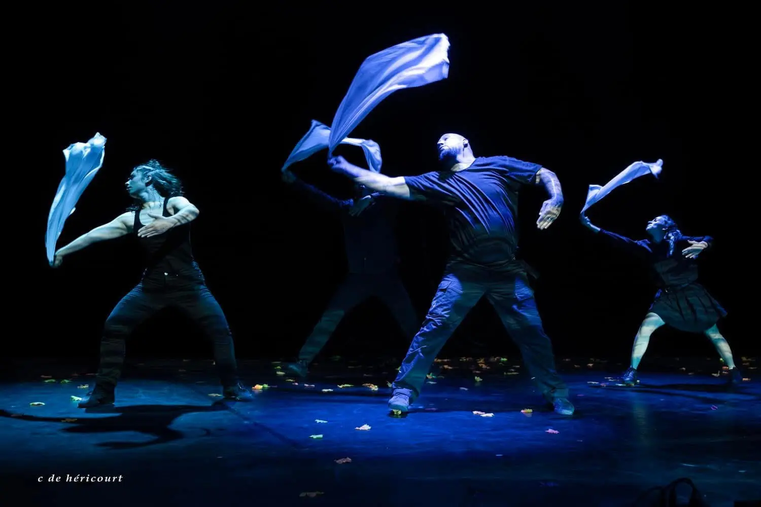 JE SUIS Danse Hip-Hop Cie Evolves CROTS