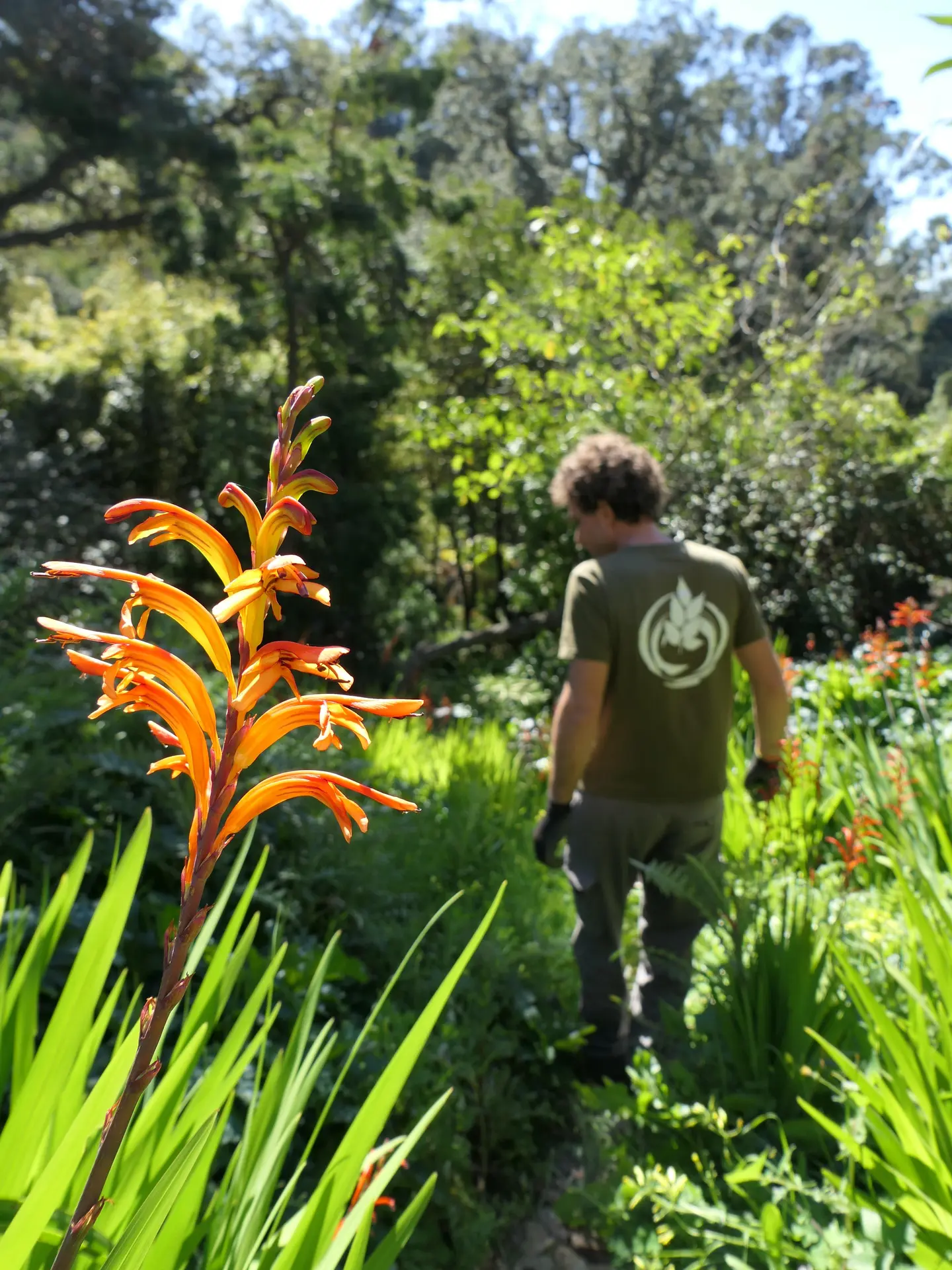 Visite thématique La visite du jardinier_Rayol-Canadel Sur Mer