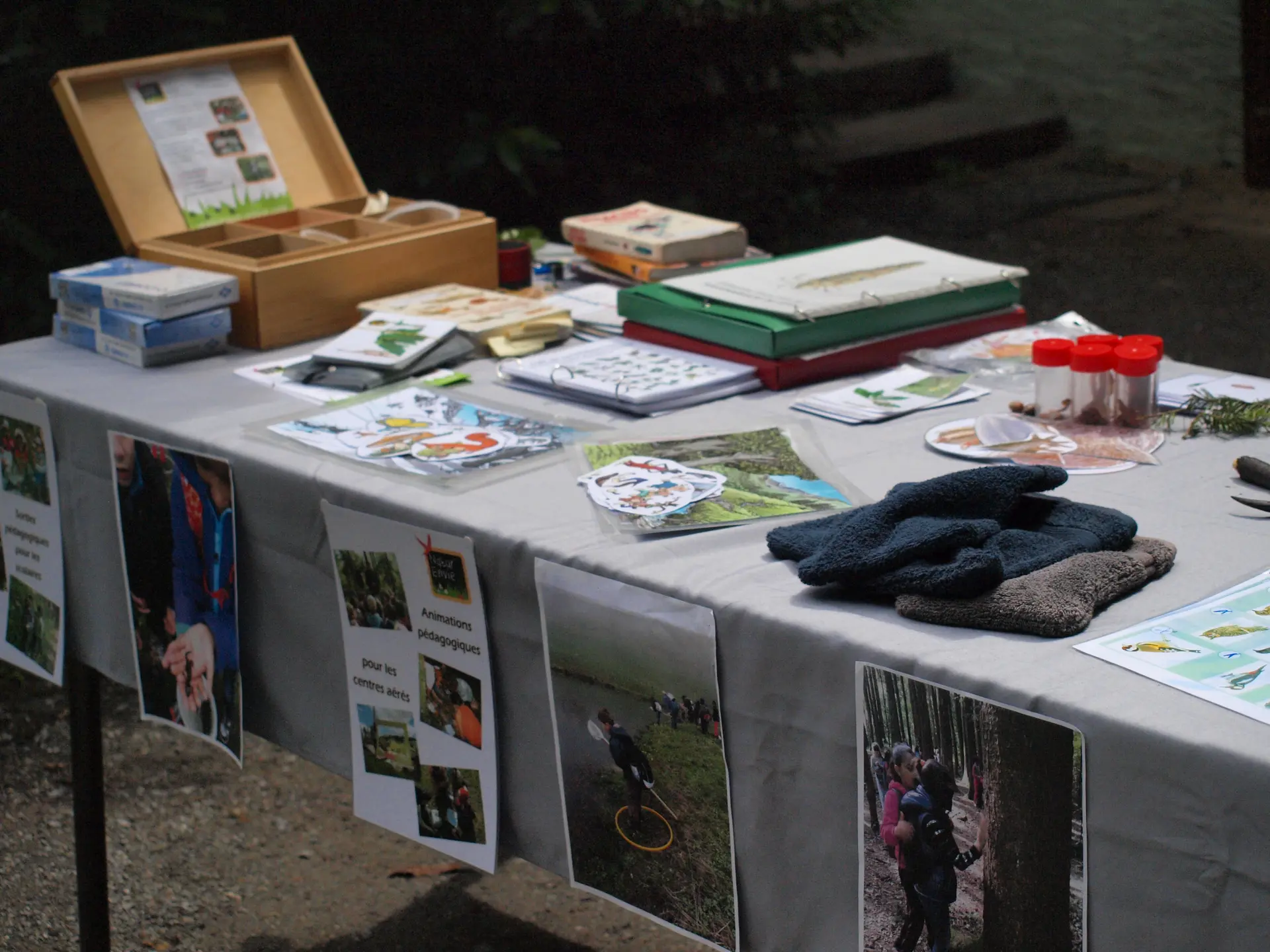 Animation nature Thônes