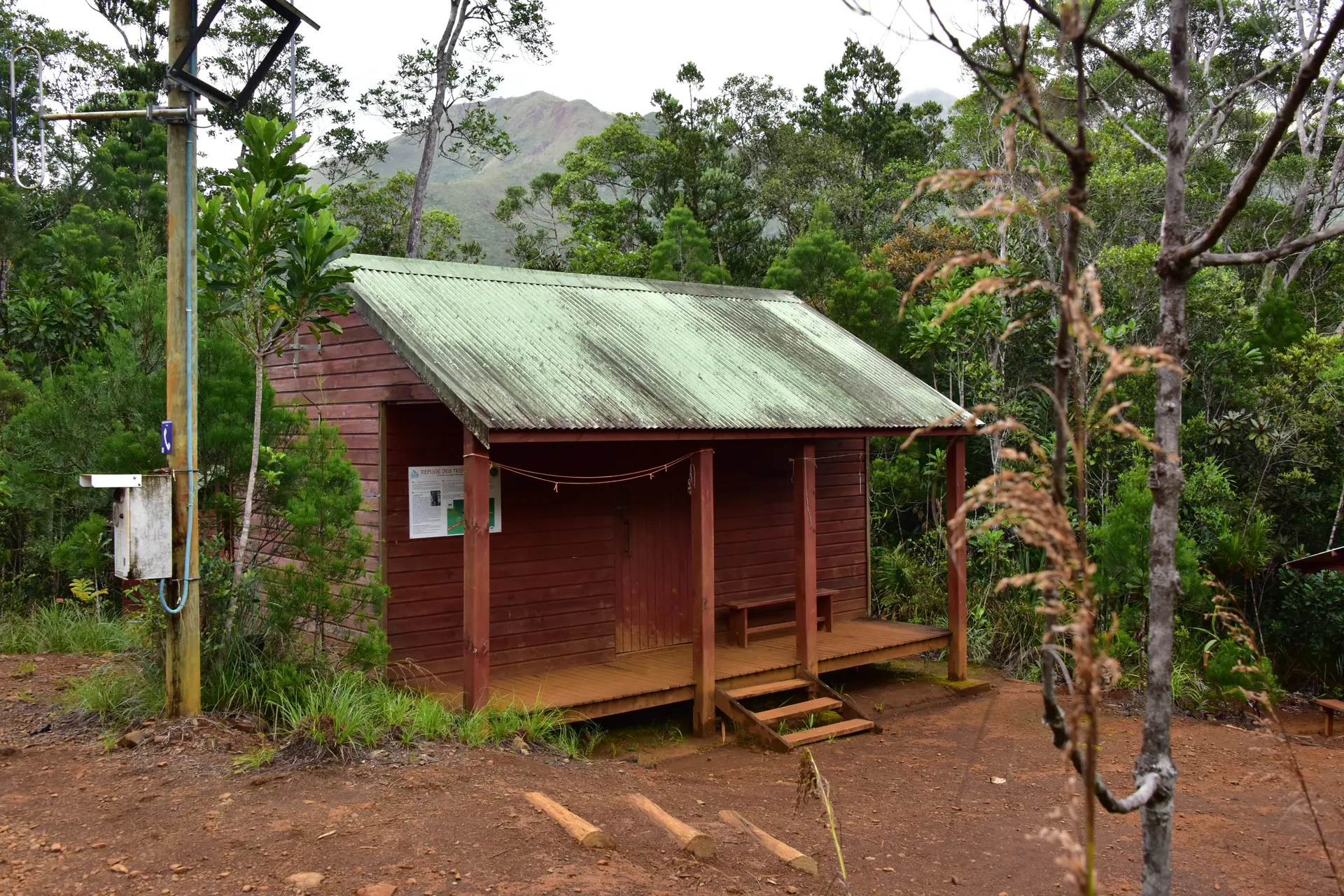 Refuge des Tristaniopsis