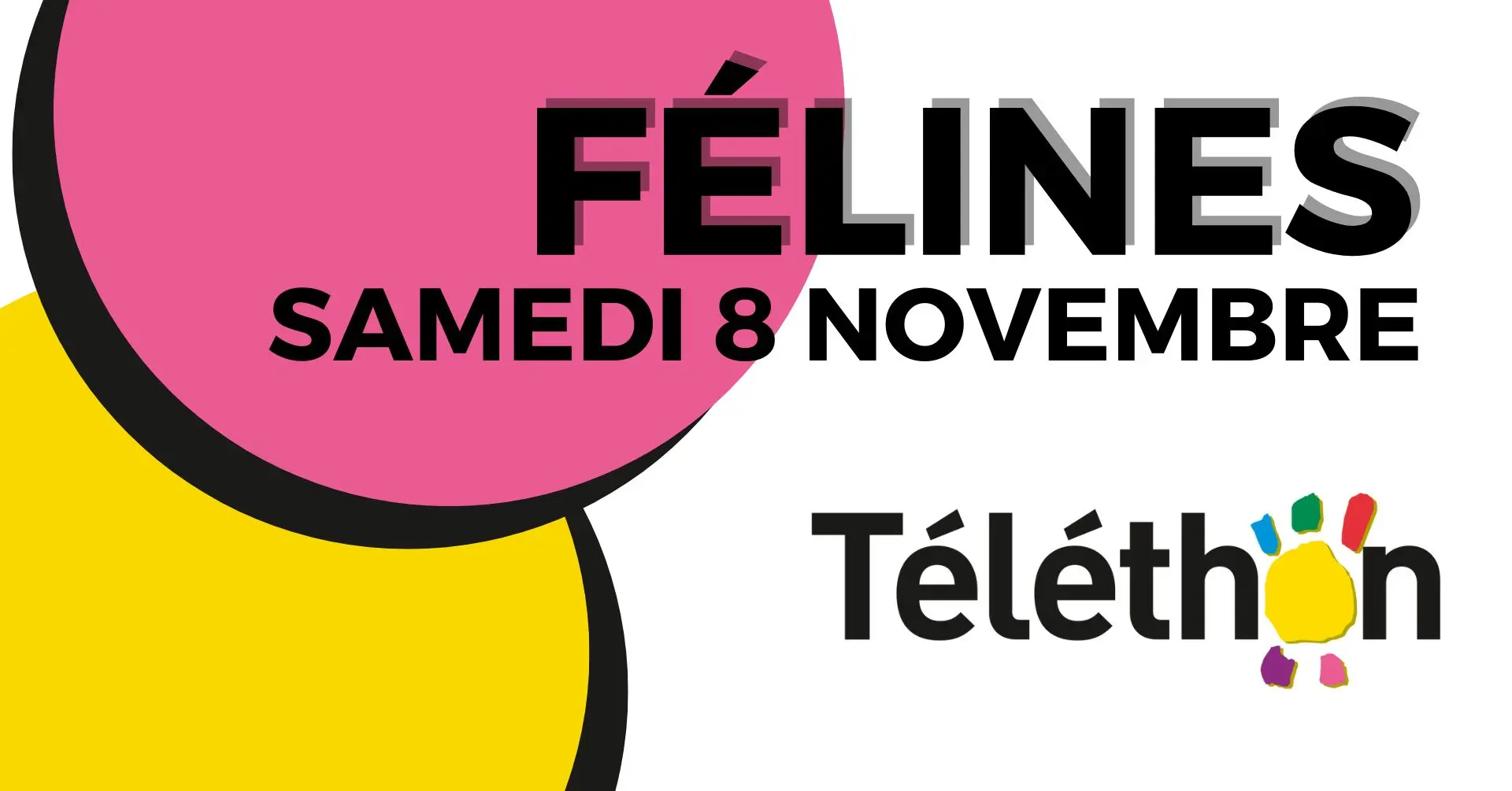 Félines-2025