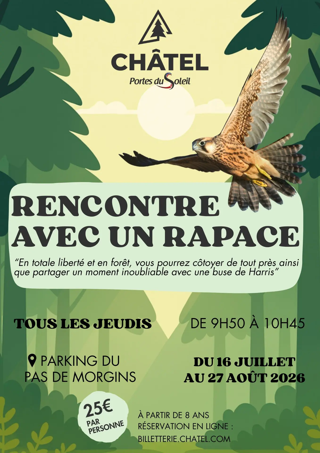 Rencontre avec un rapace_Châtel