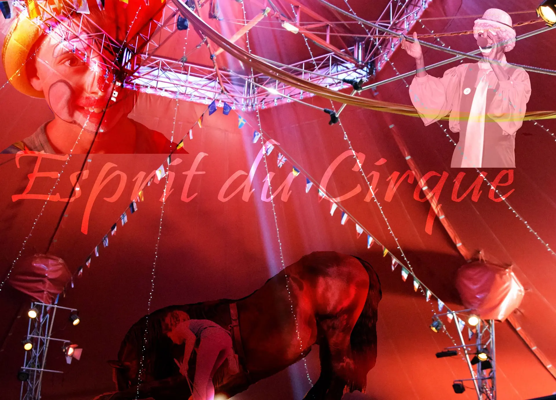 Esprit de cirque