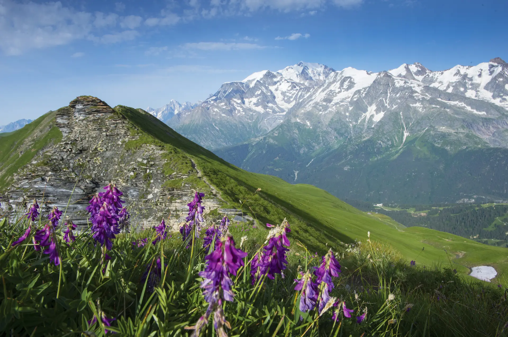 L'Aiguille Croche et le massif du Mont-Blanc