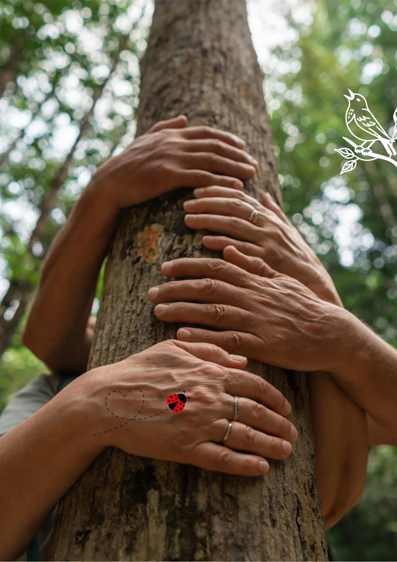 Sentir et toucher le vivant - Renc'arts BdL