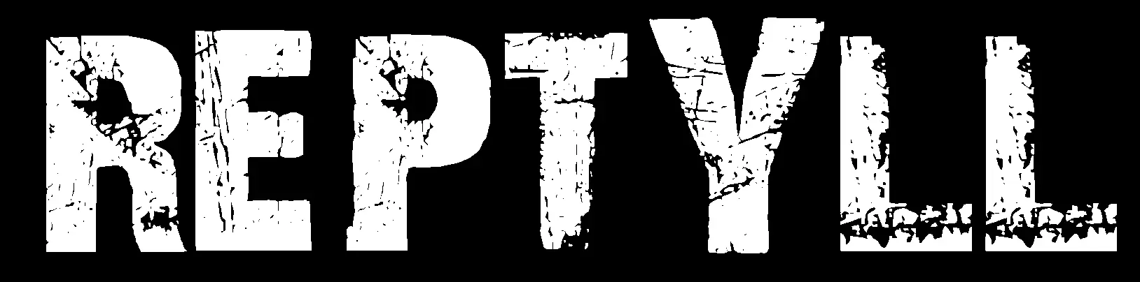 Concert Rock Reptyll