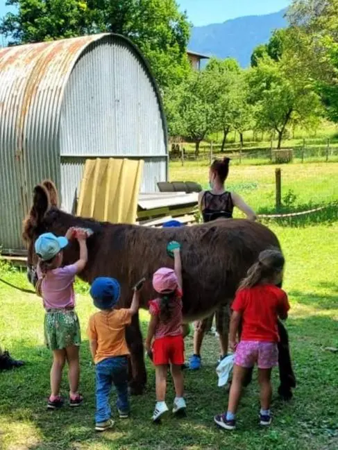 Des enfants en train de brosser un âne