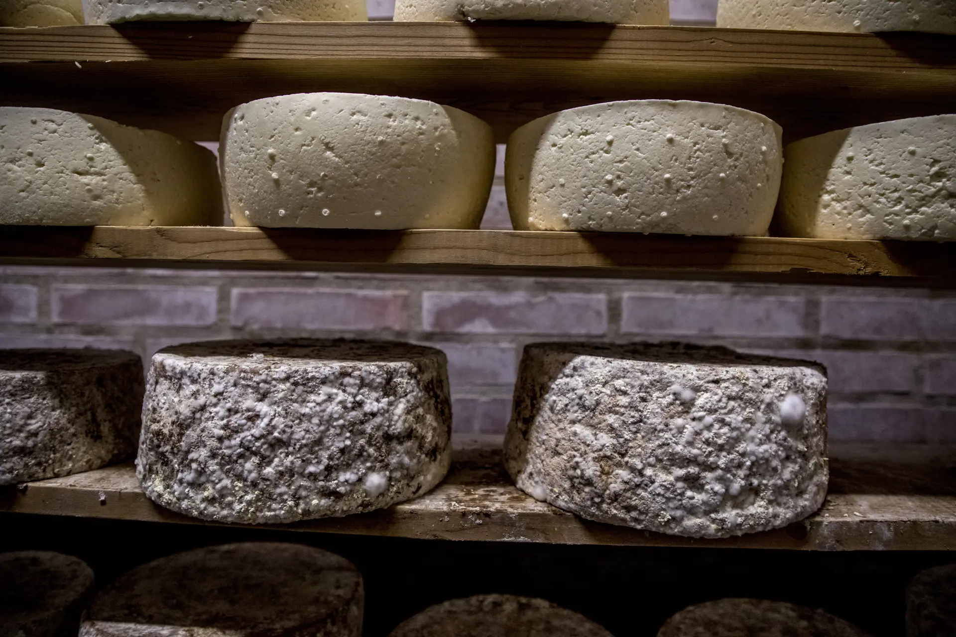 Ferme du Lautaret, Hérens, fromage producteur