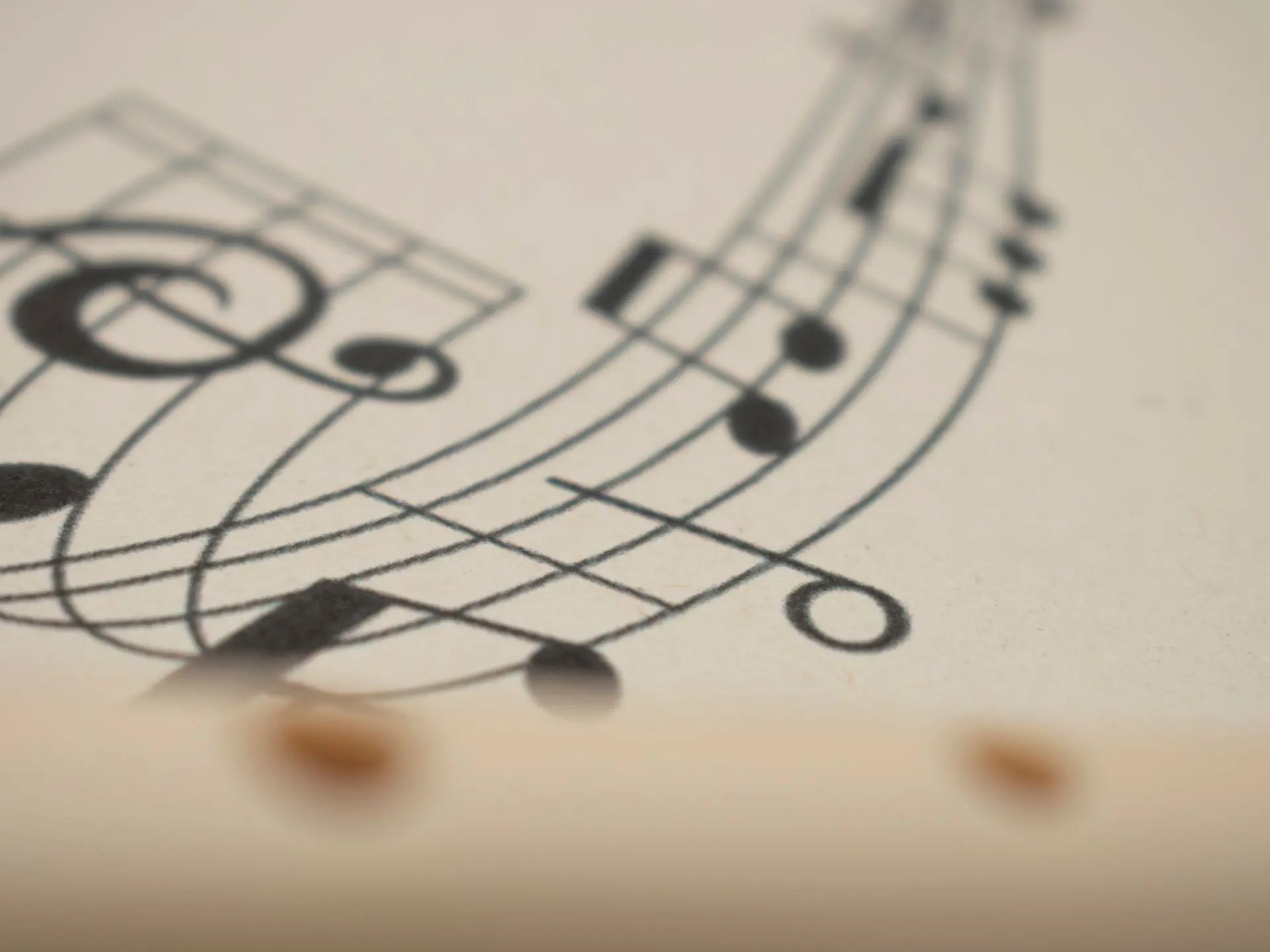 Lecture musicale et dansée : rendez-vous aux jardins_Sainte-Maxime