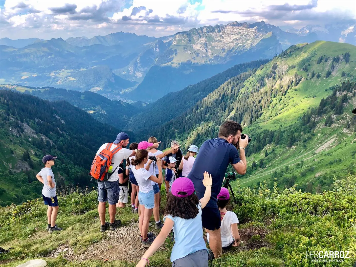 Observation faune locale