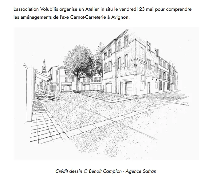 Atelier in situ - Aménagements de l'axe Carnot-Carreterie
