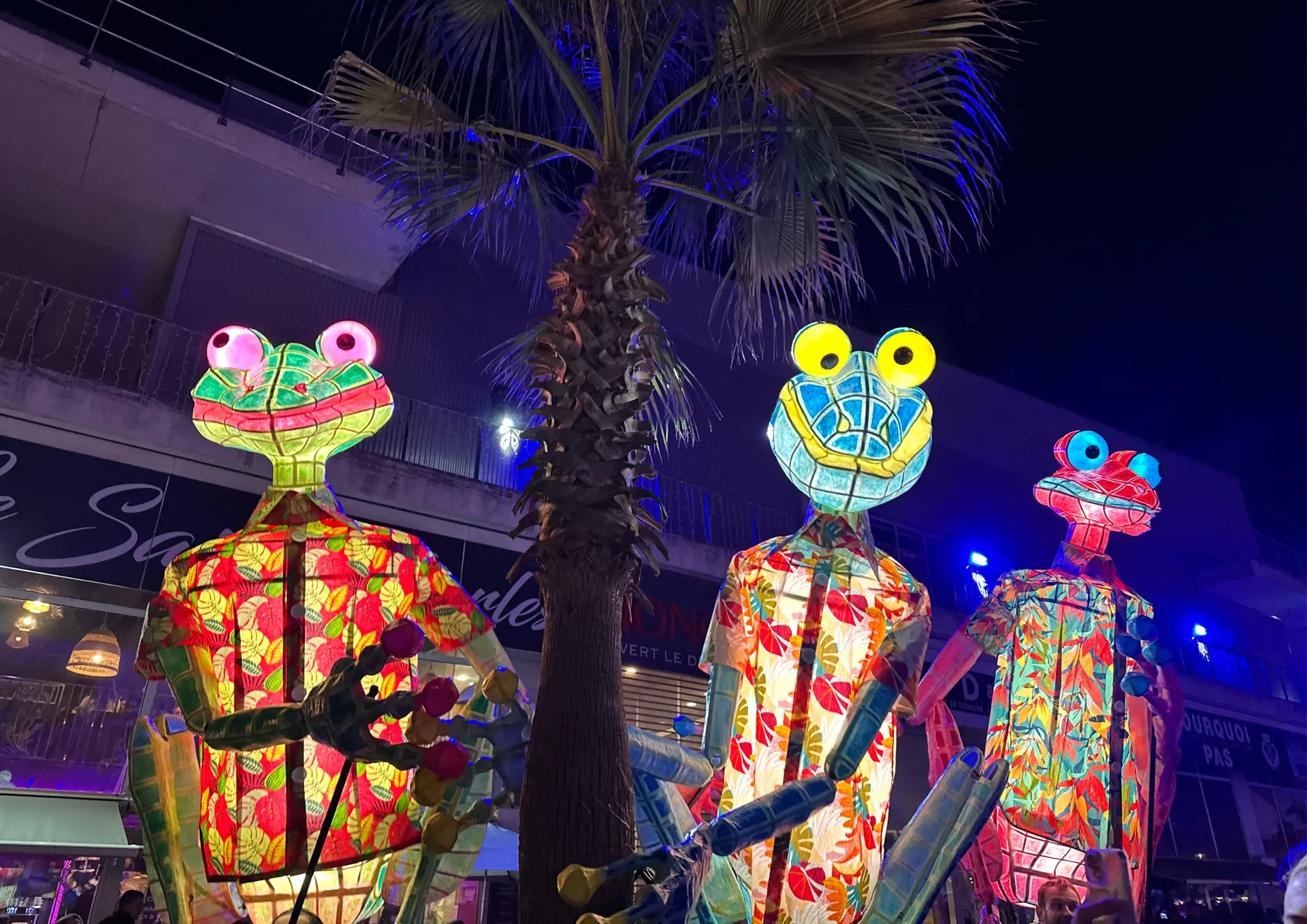 Reuzenkikkers op pad