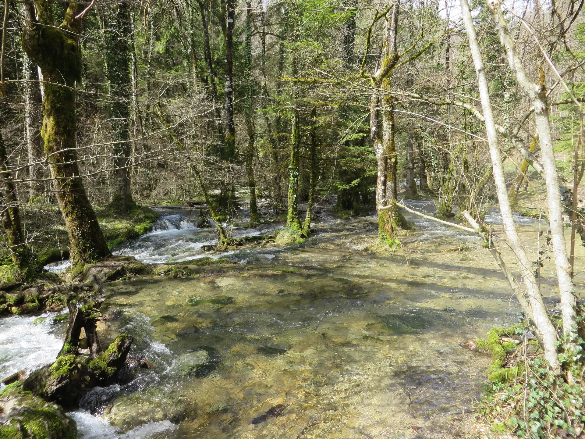 Photo d'une rivière locale