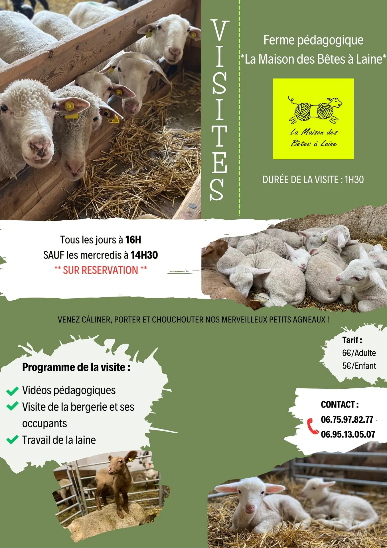 Affiche visite maison des Bêtes à laine