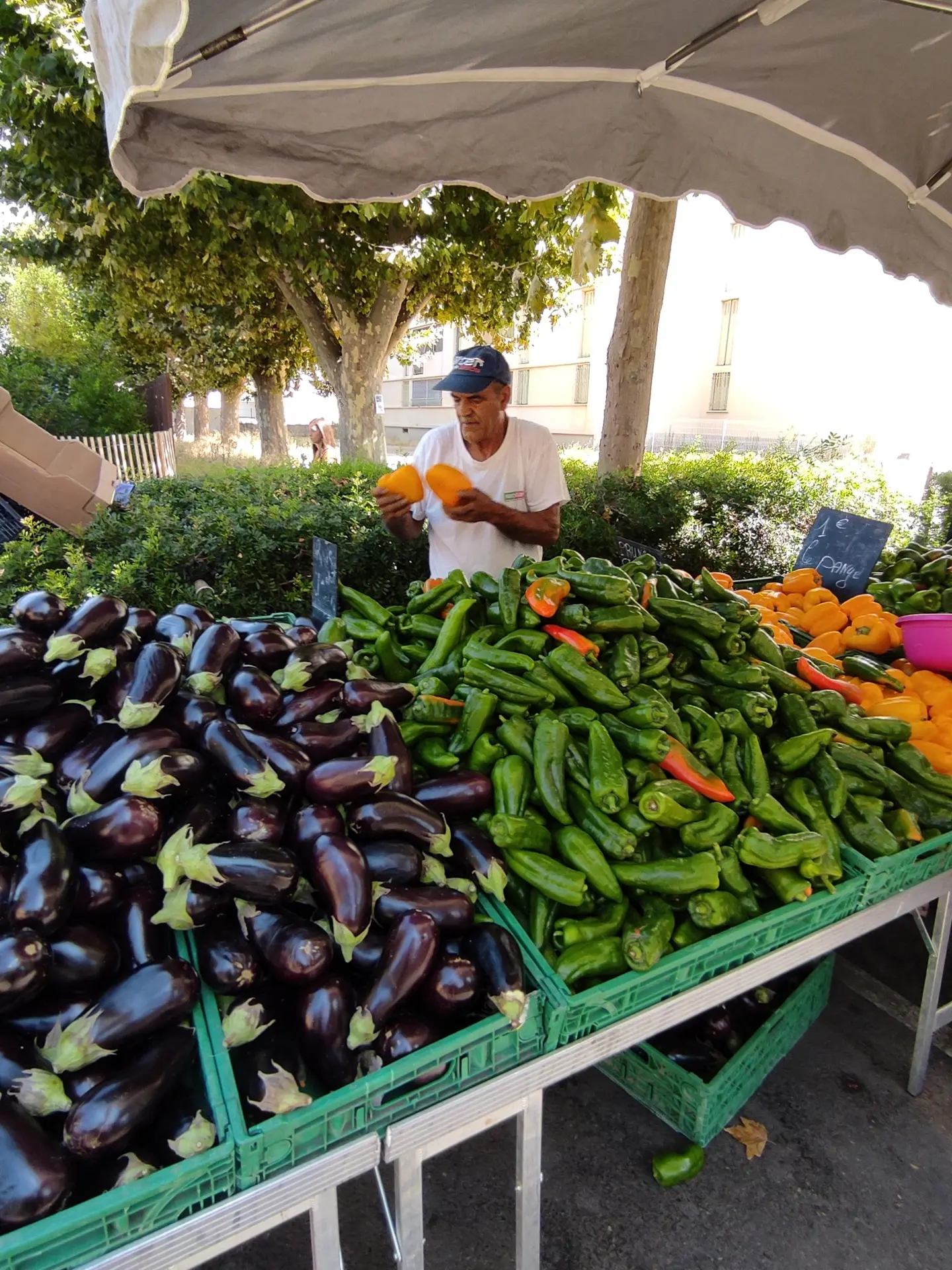 Stand fruits et légumes