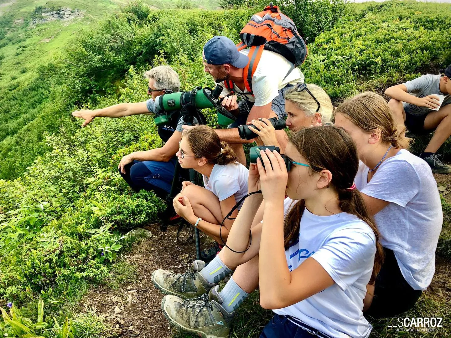 Observation faune locale