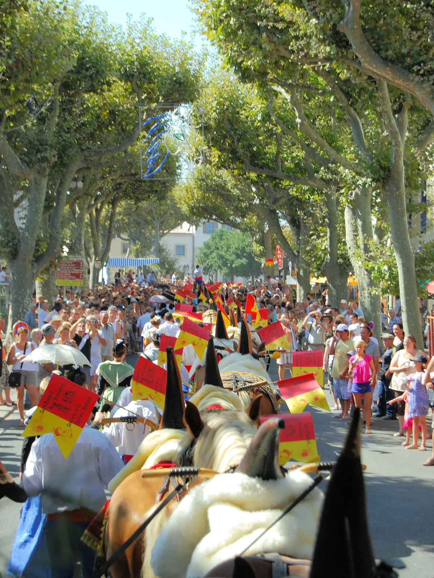 Fête de la Saint Eloi_Saint-Rémy-de-Provence