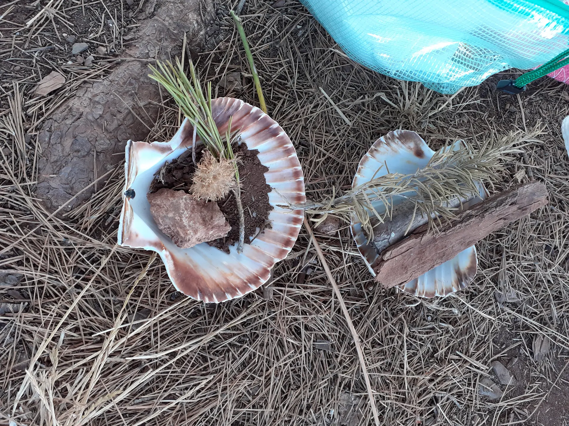 Dans la peau d'un homme préhistorique