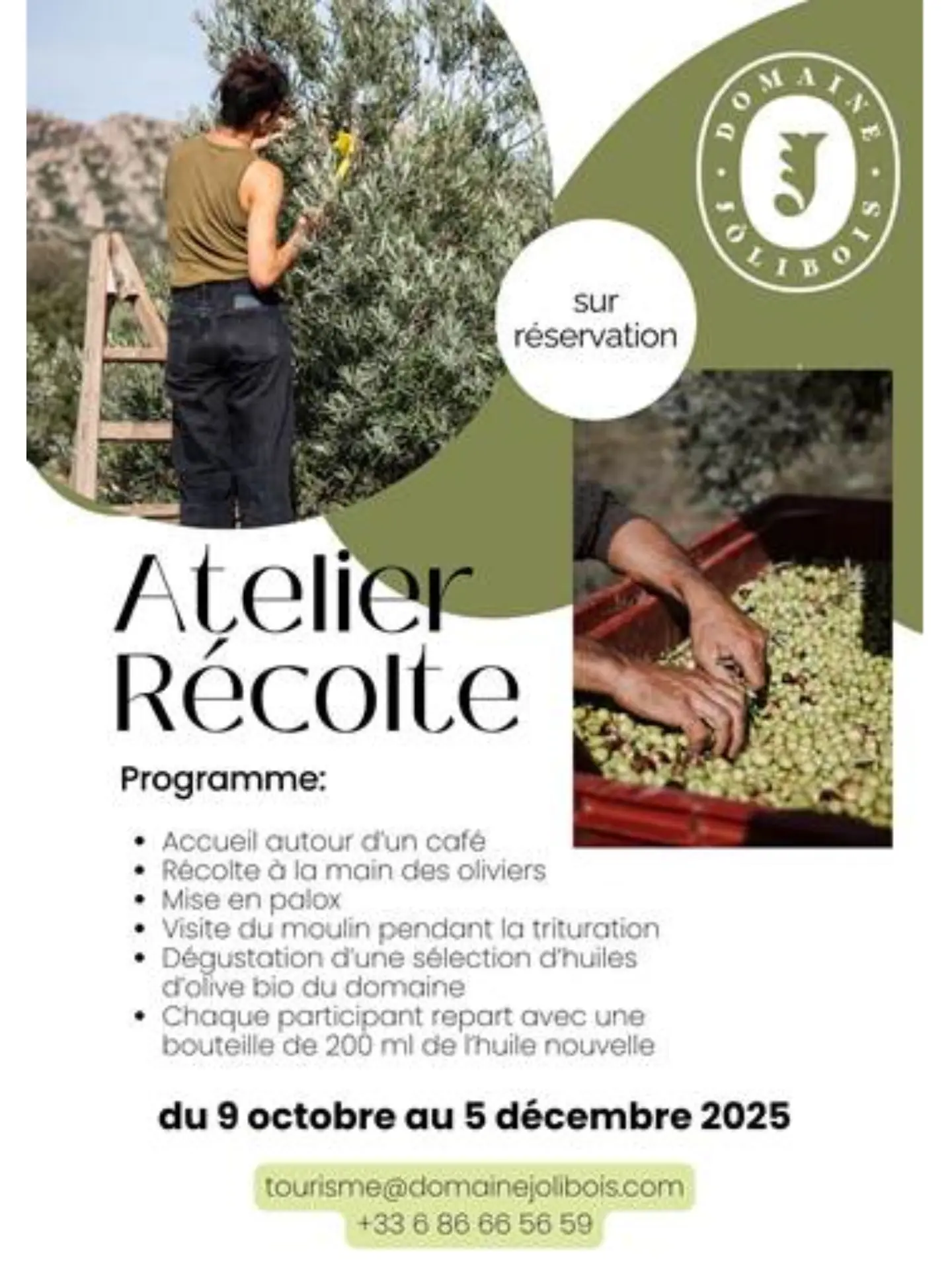 Atelier_recolte_d_olives_au_domaine_Jolibois