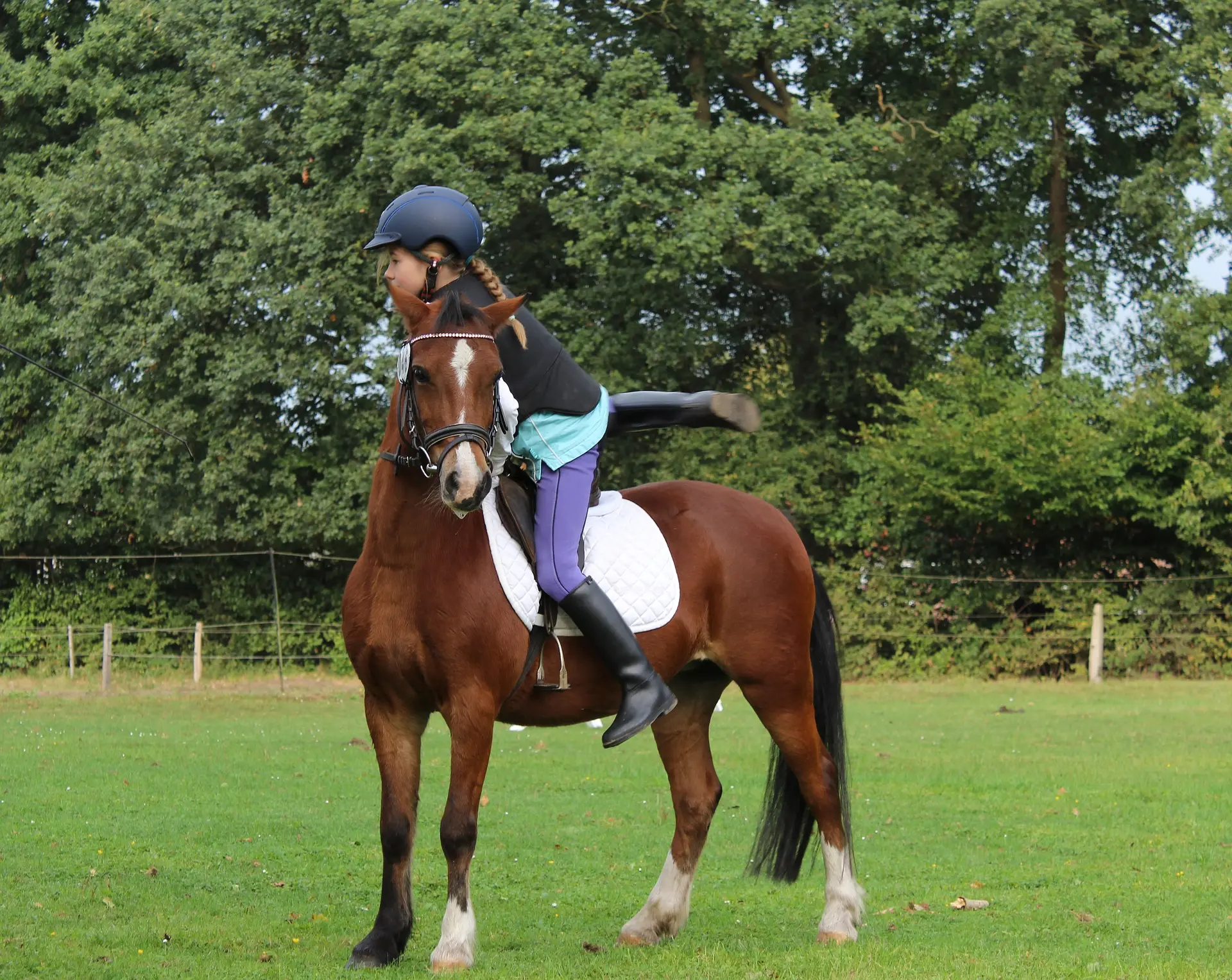 Photo montrant une enfant sur un poney