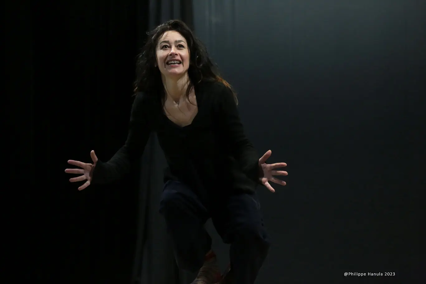 Ilea de Stéphane Roux