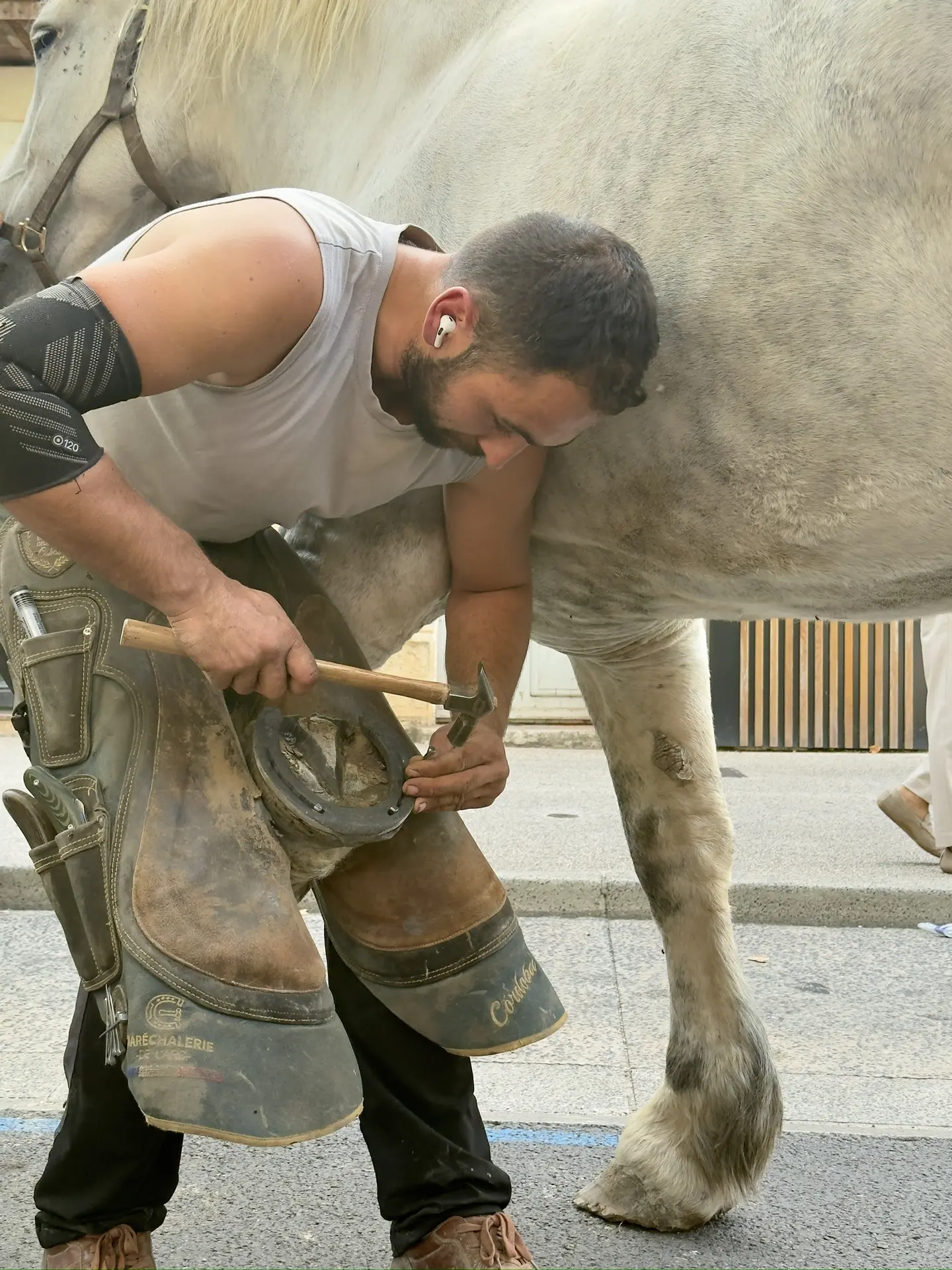 Foire agricole de la Saint-Michel_Gardanne