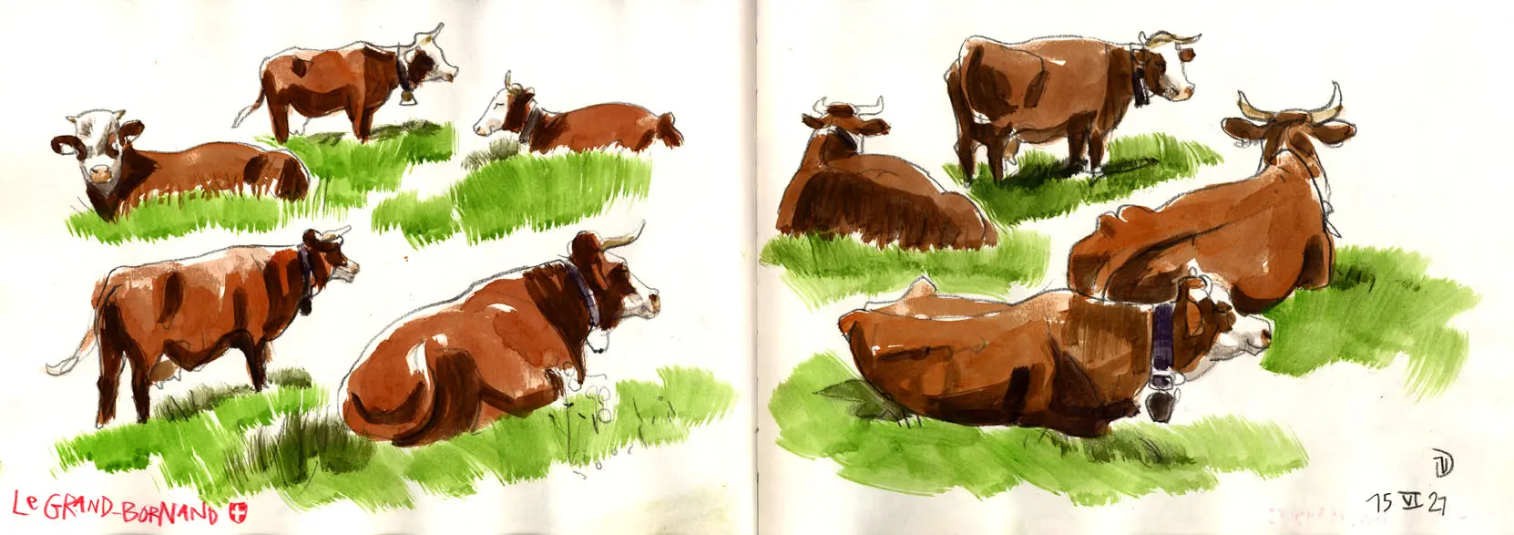 Carnets d'alpage