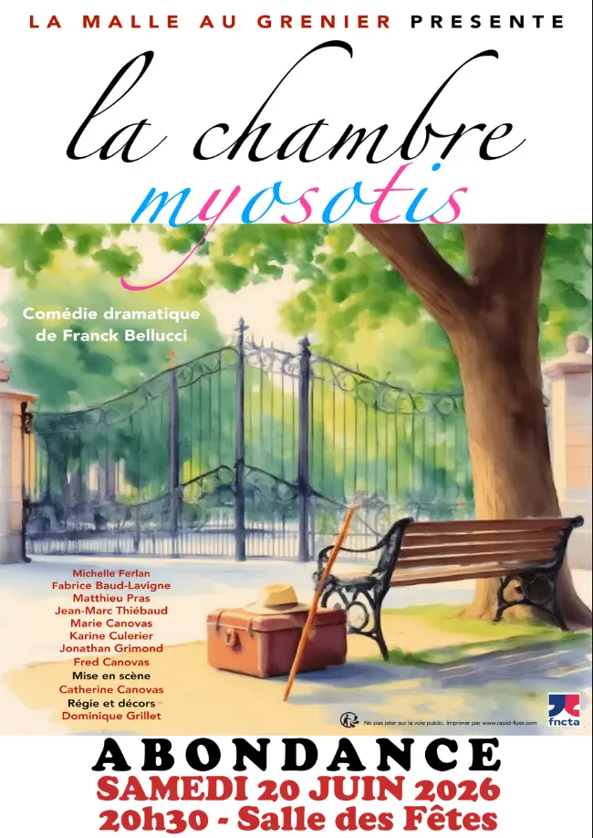 Affiche théâtre la chambre myosotis