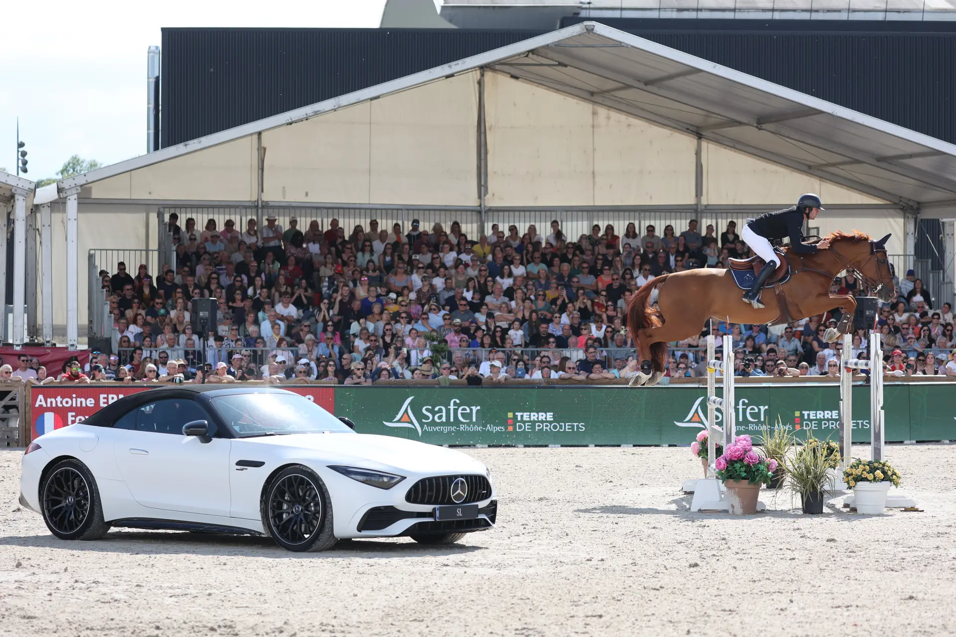 Cheval + cavalier saut d'obstacles