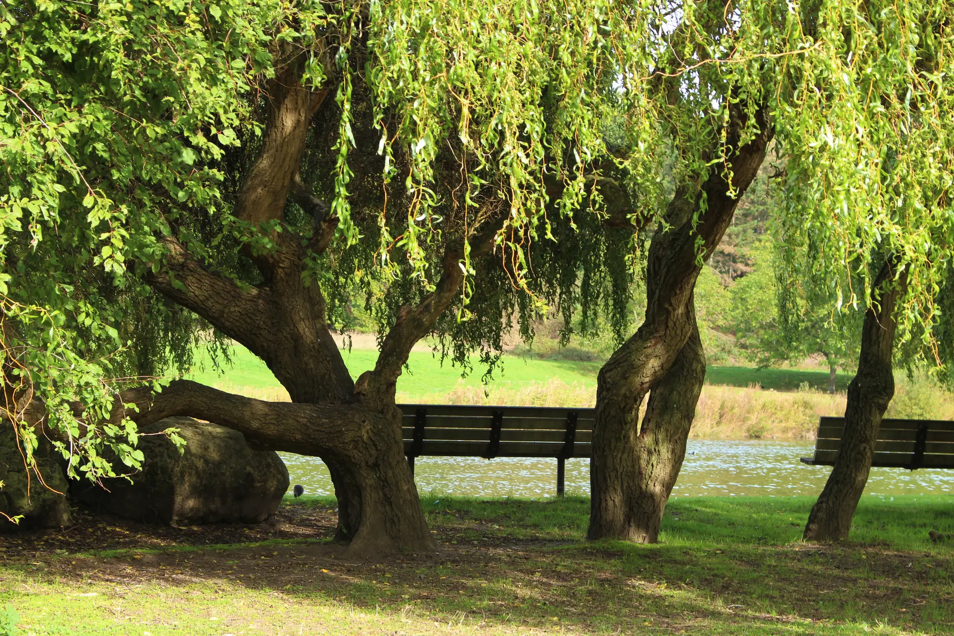 Parc départemental Georges Valbon