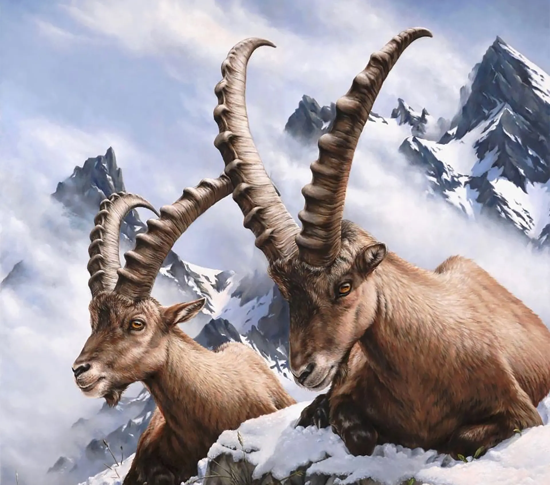 Peinture animalière du peintre Henri Girin.