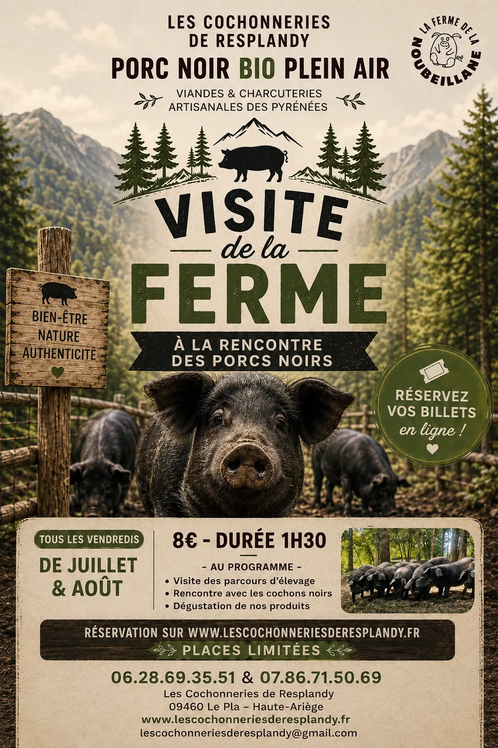 Affiche