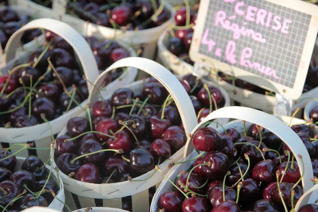 Alain Hocquel - Collect ADT