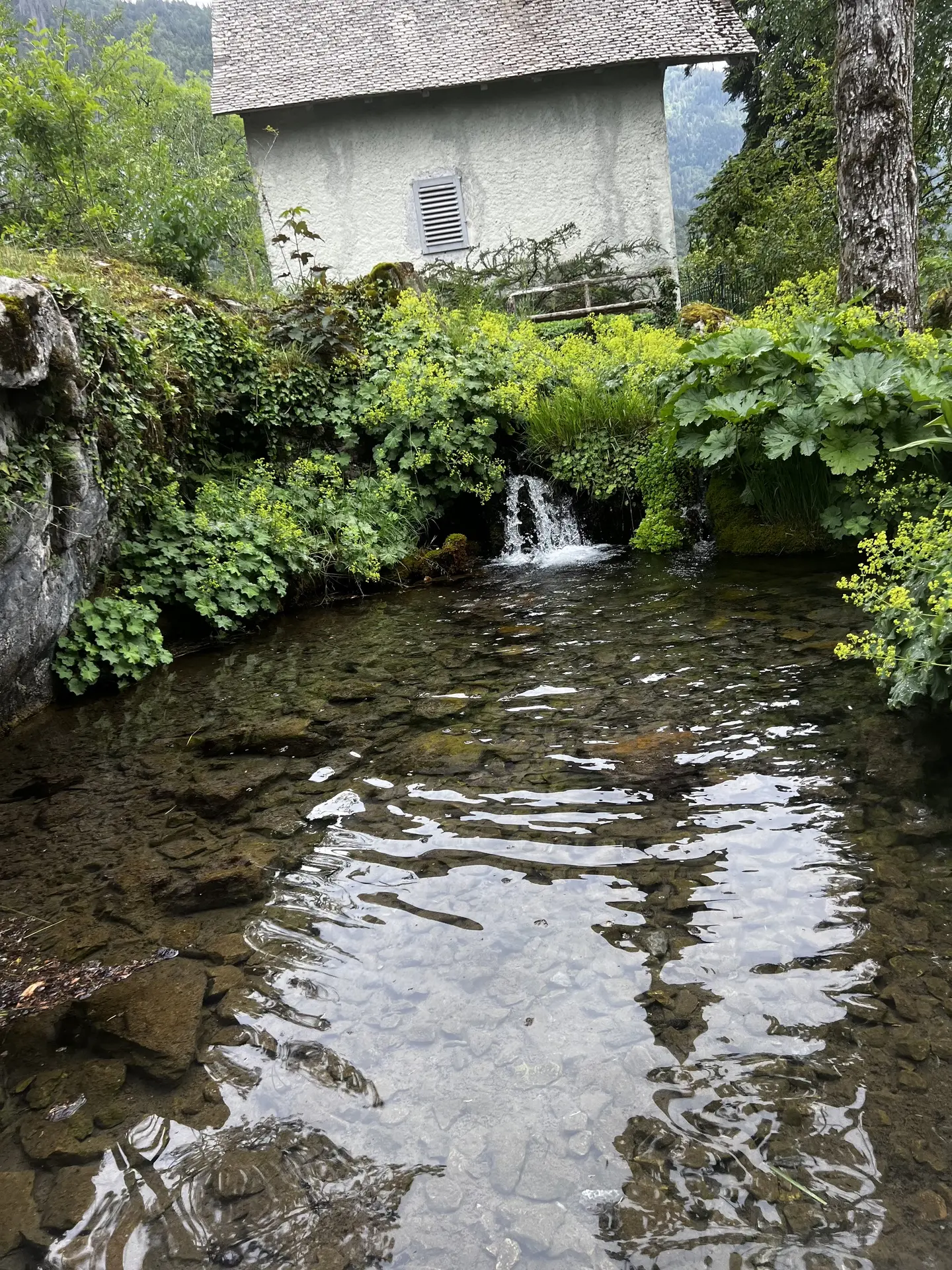 Jardin Botanique La Jaysinia - Visite Groupe