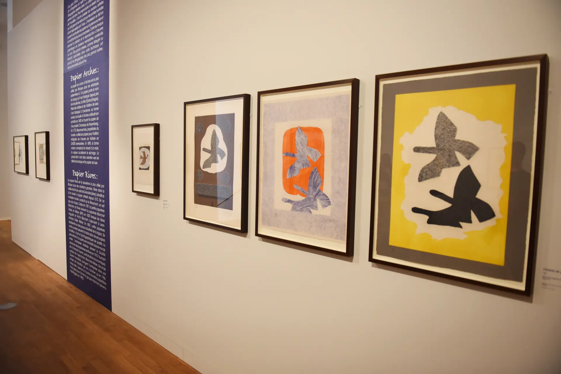 La Banque - Hyères : Braque