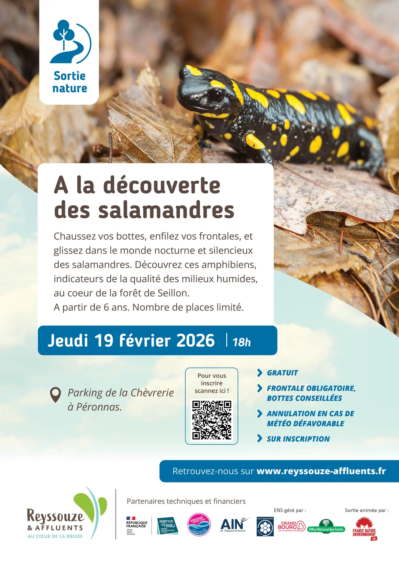 Affiche salamandre
