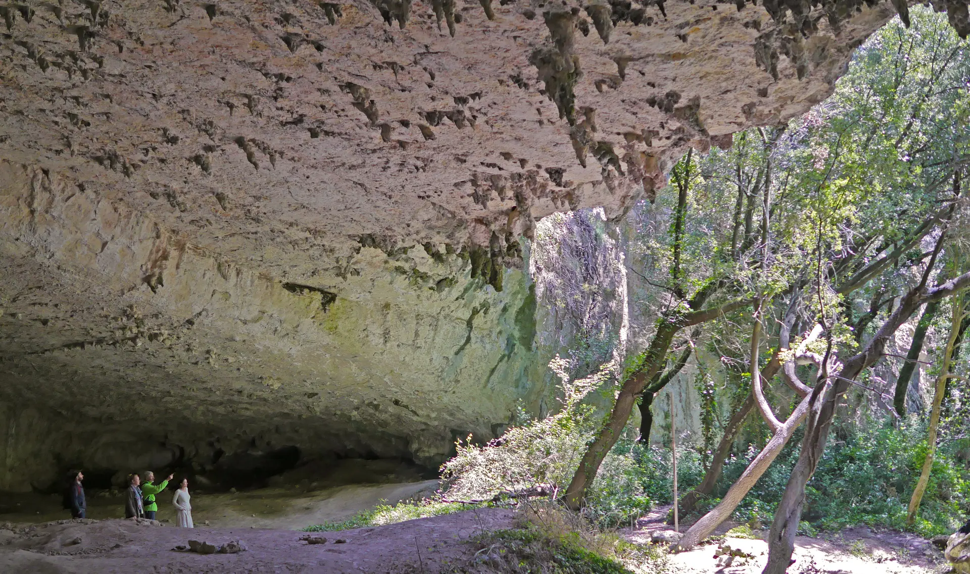Sur les traces des bergers du Néolithique